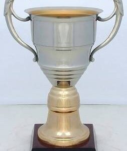 Copa Modelo 10161