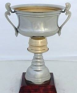 Copa Modelo 10162