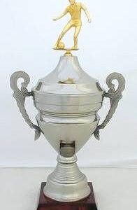 Copa Modelo 10163