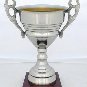 Copa Modelo 10164