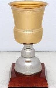 Copa Modelo 10165