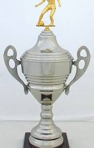 Copa Modelo 10166