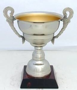 Copa Modelo 10167