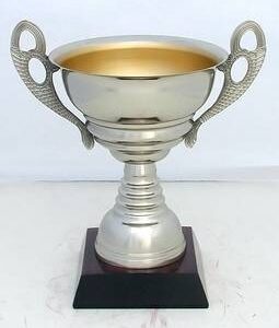Copa Modelo 10168