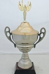 Copa Modelo 10169