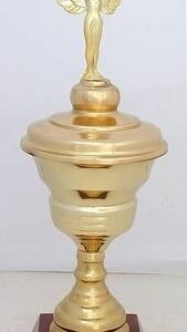 Copa Modelo 10171