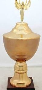 Copa Modelo 10176