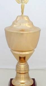Copa Modelo 10178