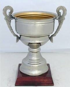 Copa Modelo 10184