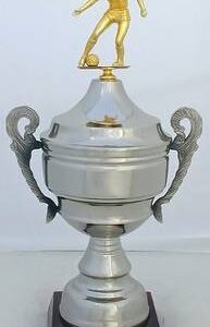 Copa Modelo 10187