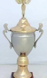 Copa Modelo 10192