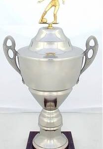 Copa Modelo 10193