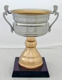 Copa Modelo 10198